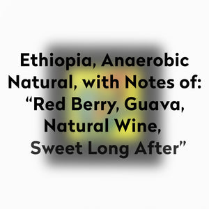 2029-ETHIOPIA