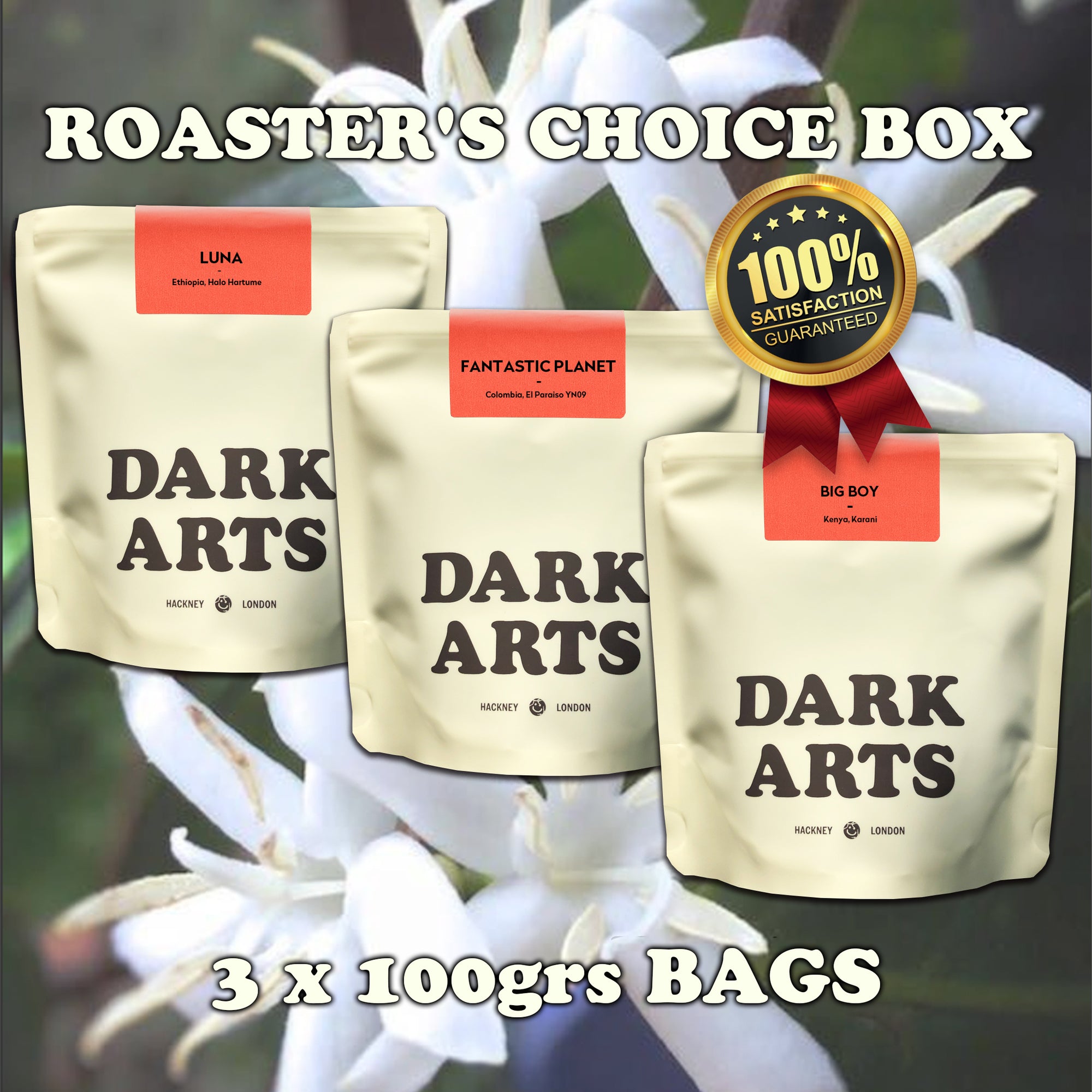 ROASTER'S CHOICE BOX-3 X 100GR BAGS