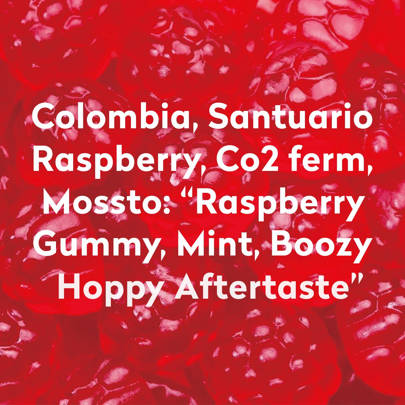 BIG NUMBER-COLOMBIA-SANTUARIO RASPBERRY CO FERM