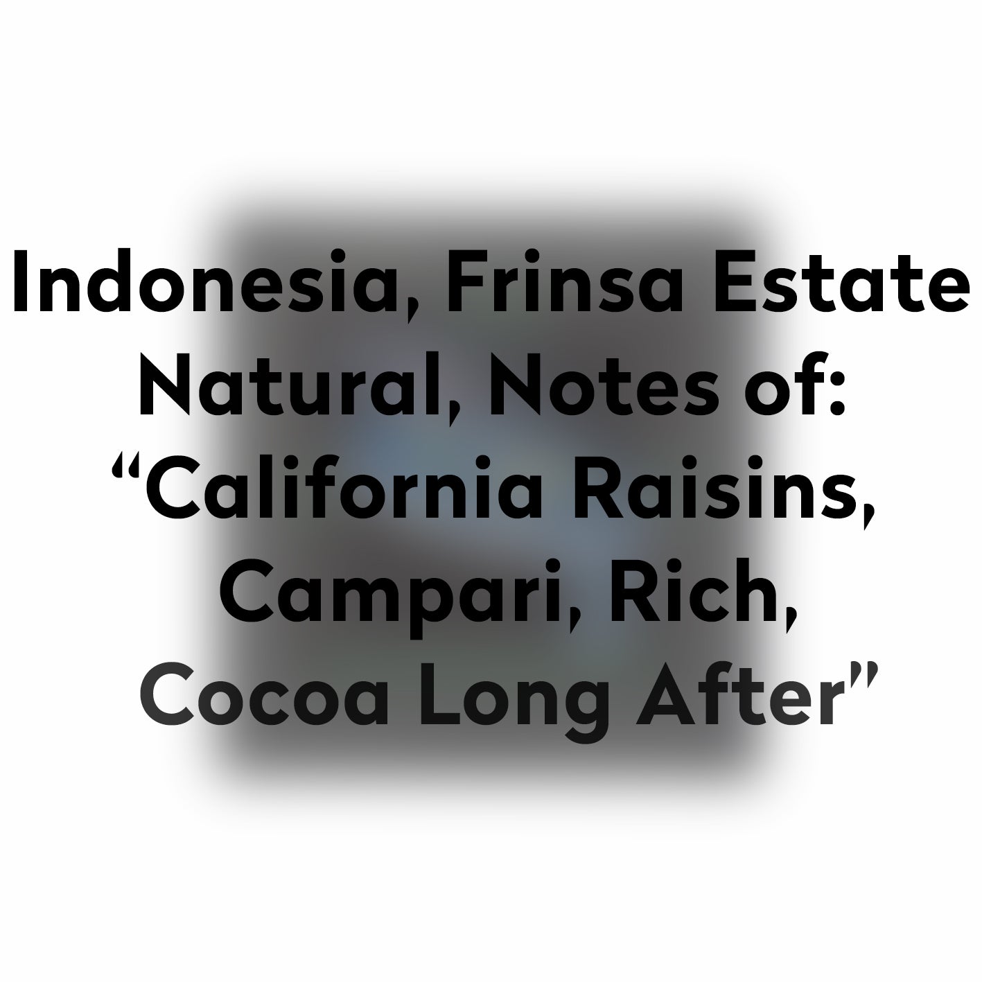 FLAT EARTH-INDONESIA