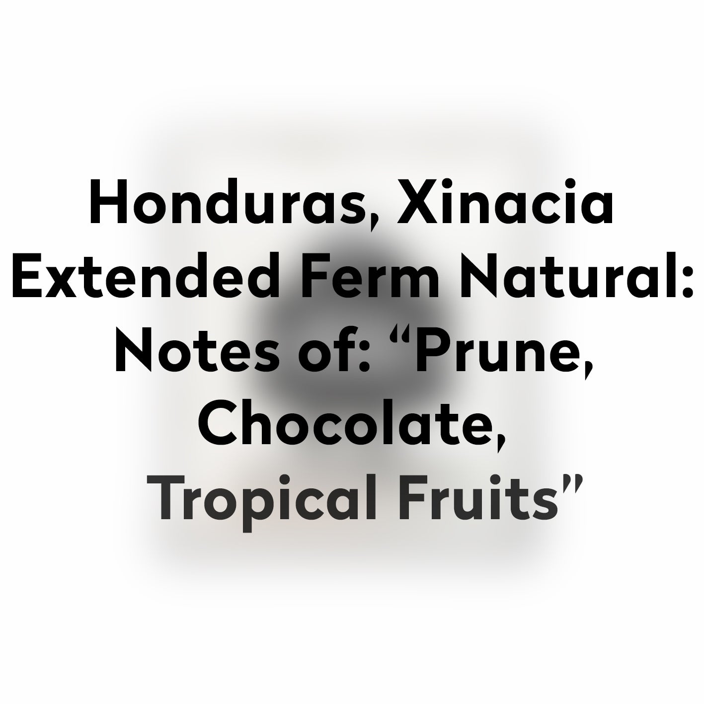 DRIP BAGS-HONDURAS-EXTENDED FERMENTATION NATURAL