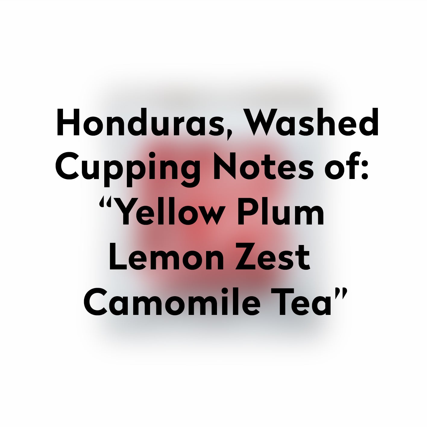 DRIP BAGS-HONDURAS-WASHED