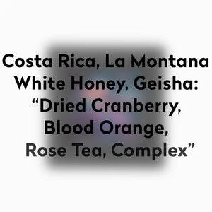 JOURNEY-COSTA RICA-LA MONTANA