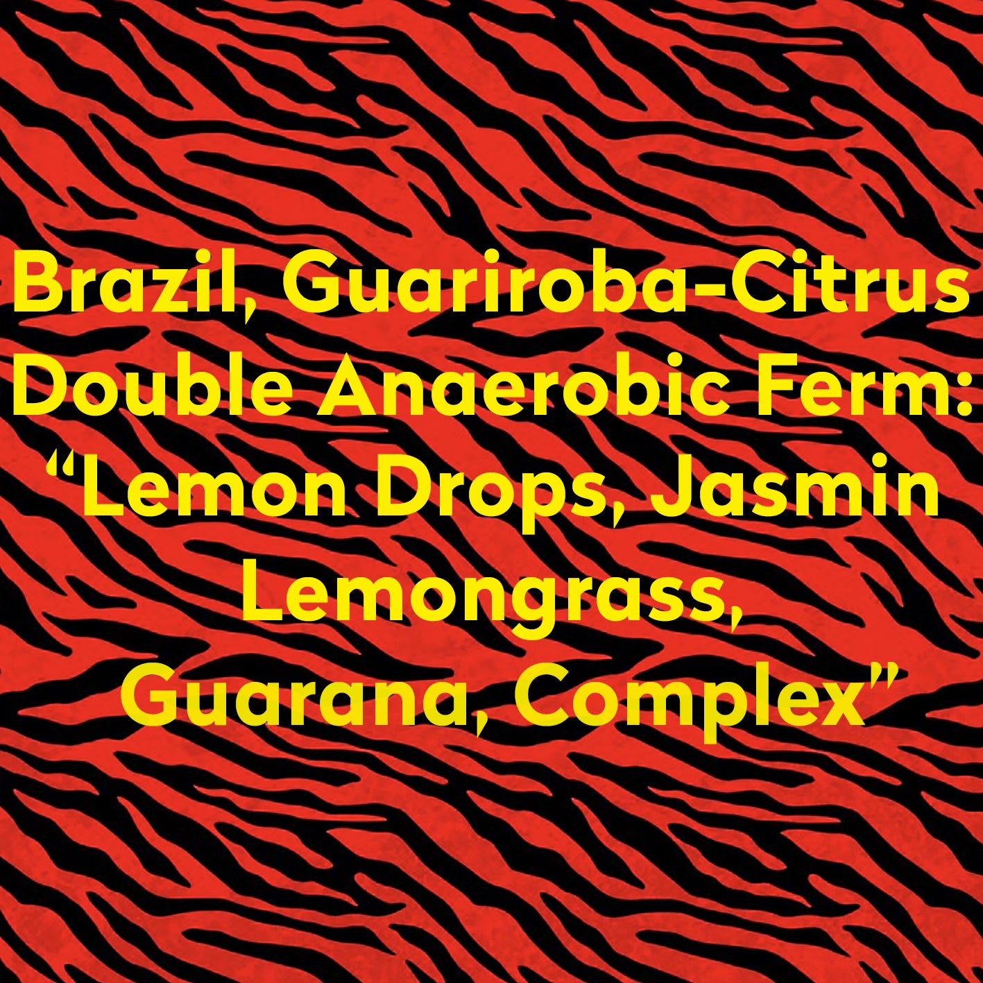 MANDRAKE-BRAZIL-GUARIROBA