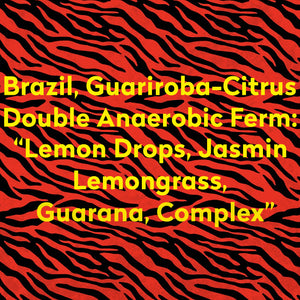 MANDRAKE-BRAZIL-GUARIROBA