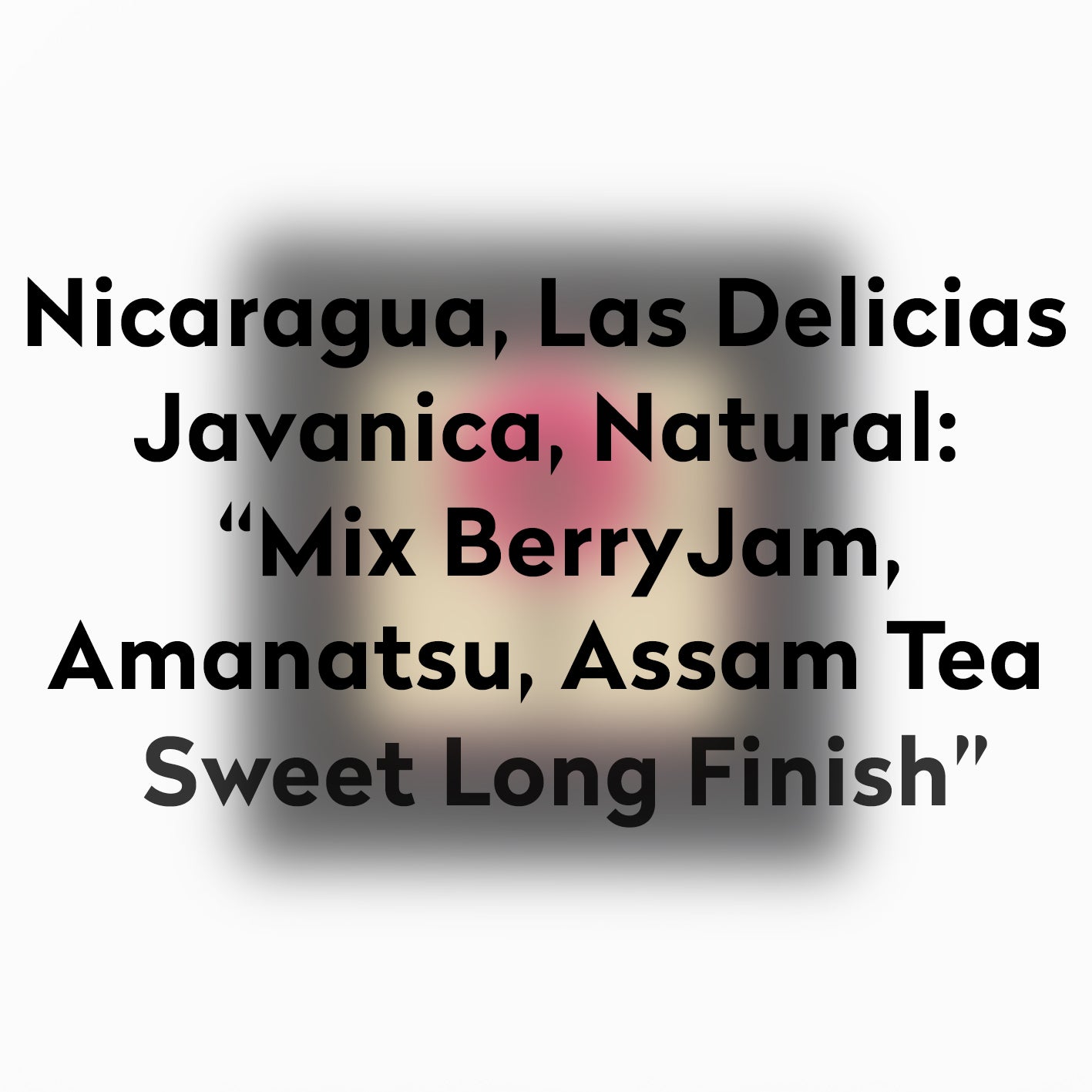 MOMOTOMBO-NICARAGUA - Dark Arts Coffee Japan