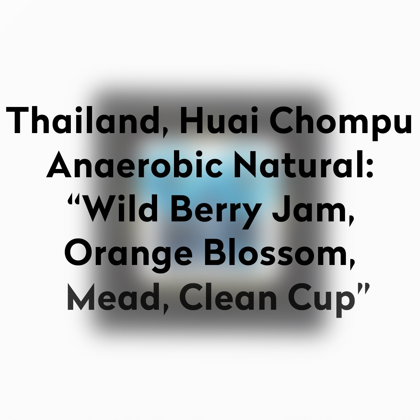 HIGH FIDELITY-THAILAND