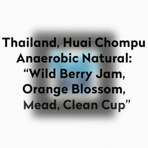 HIGH FIDELITY-THAILAND