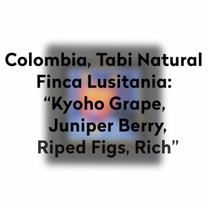 SPOOKY NIGHTS-COLOMBIA-LUSITANIA-NATURAL