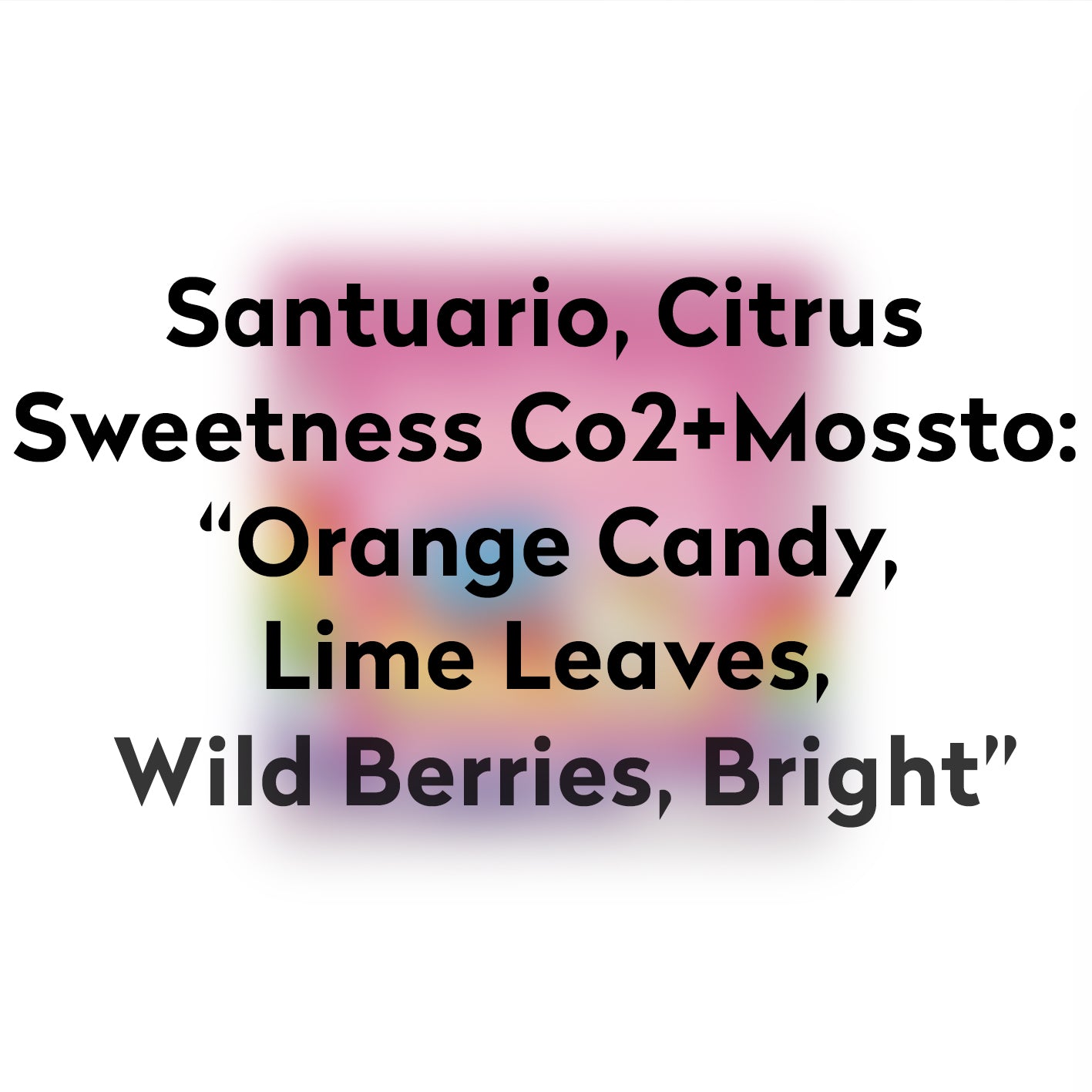 TRUE LOVE-COLOMBIA-SANTUARIO CITRUS SWEETNESS